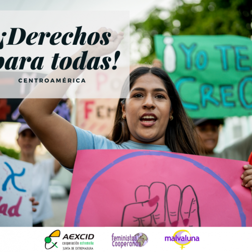 Malvaluna teje redes con el movimiento feminista organizado en América Latina